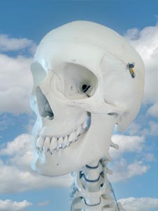 lachender Schädel als Teilnehmender